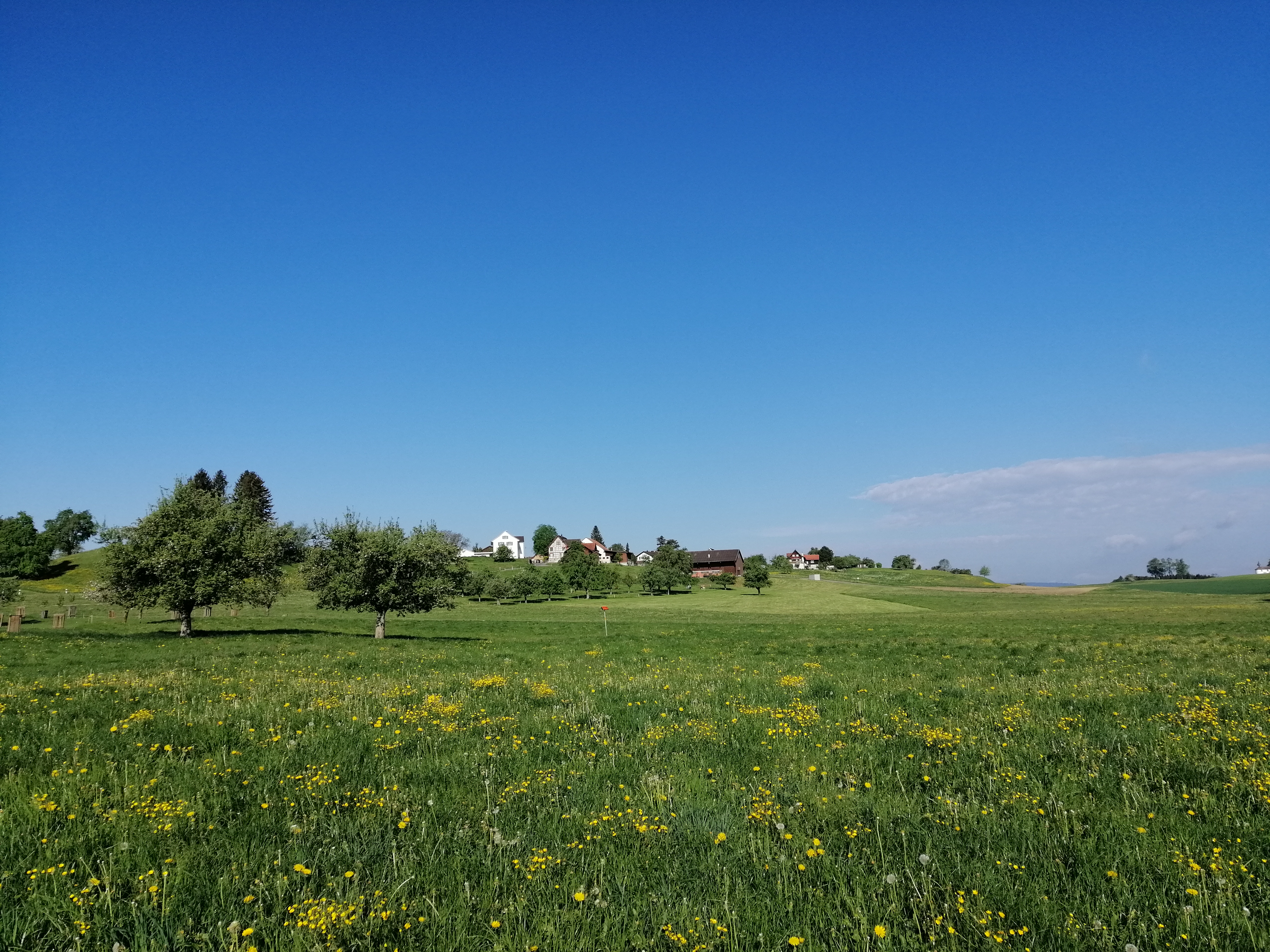 Leutmerken Landschaft